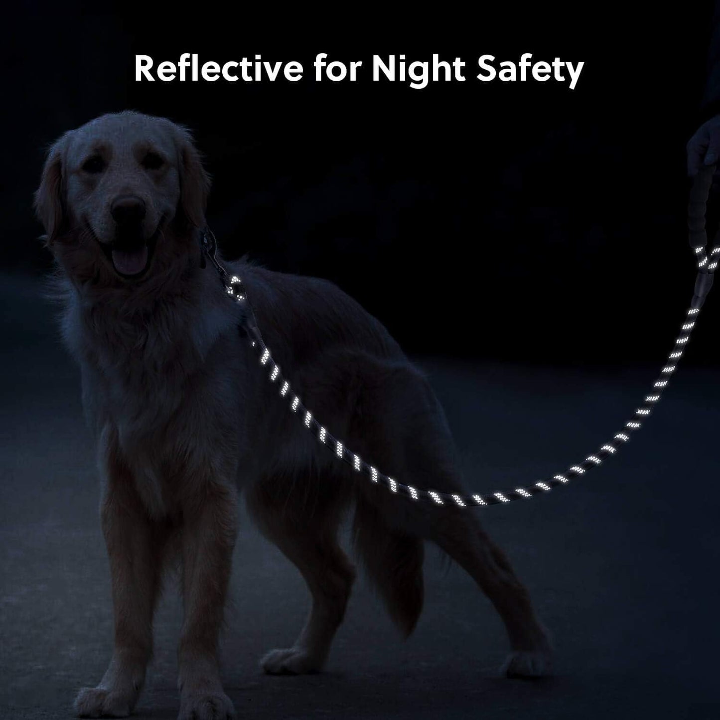 5 FT Strong Dog Leash with Comfortable Foam Handle and Highly Reflective Threads with Metal Clasp and Rubber Enhanced Joint Dog Leashes for Medium and Large Dogs Black