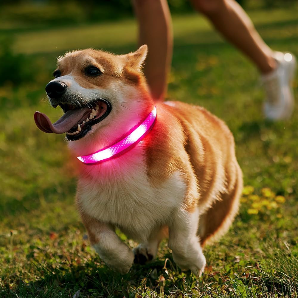 Light up Dog Collar - USB Rechargeable LED Dog Collar Glow in the Dark, High Visibility Glow Collar Light for Nighttime Walking (Medium, Light Pink)