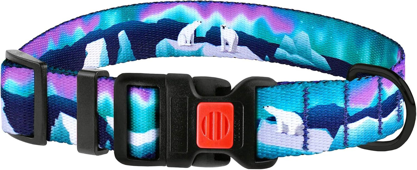 Print Dog Collar Nylon Pattern Adjustable Nature Pet Collars for Dogs Small Medium Large Puppy (Northern Lights, Neck Fit 10"-13")
