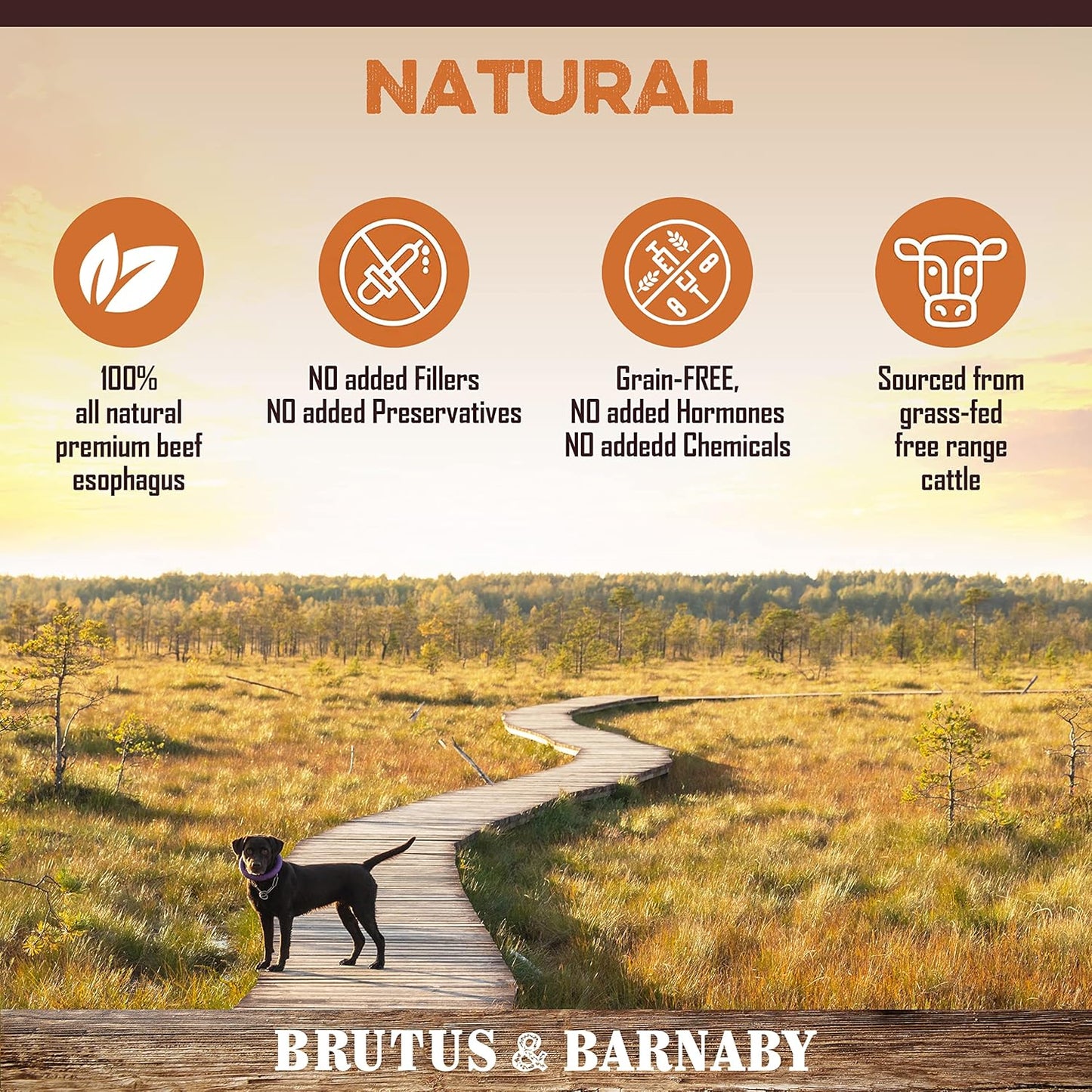All Natural Single Ingredient Beef Esophagus Chews for Dogs - Healthy Flat Gullet Strips with Naturally Occurring Glucosamine & Chondroitin for Joint Function - Great for Any Dog Size