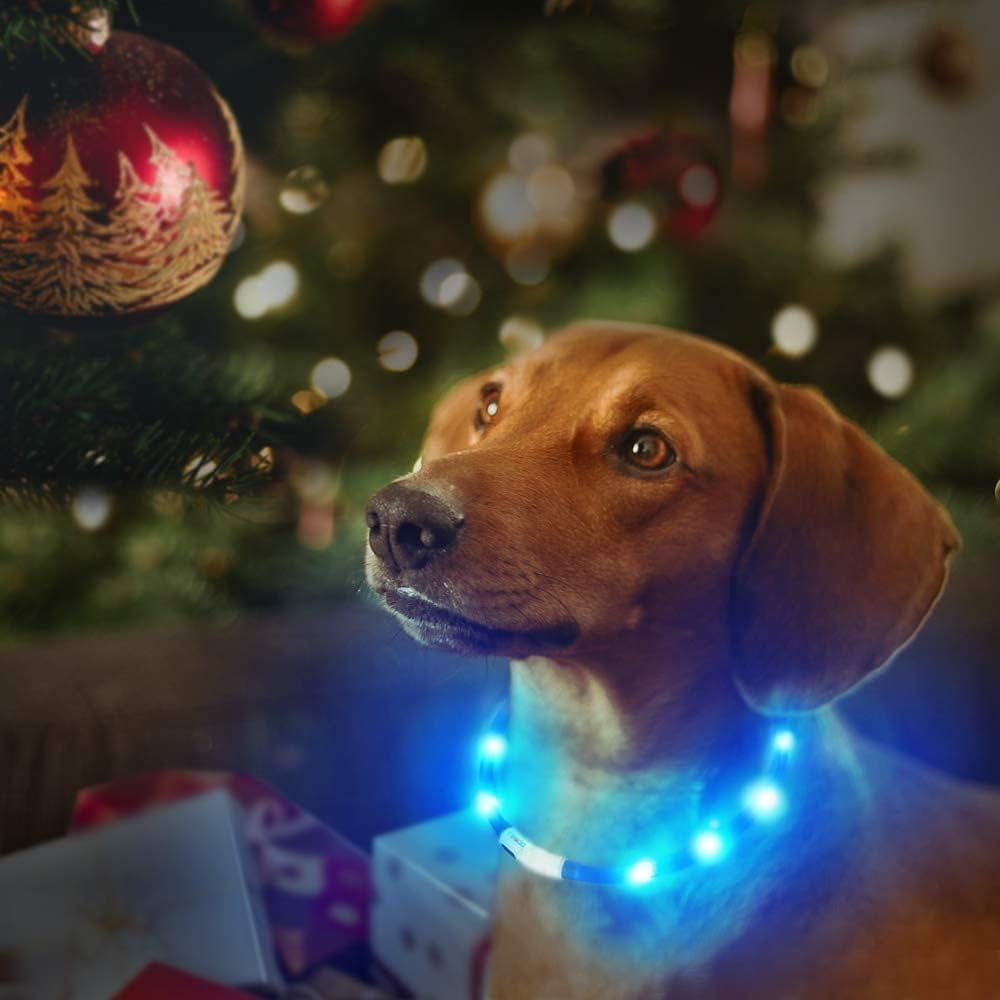 LED Light up Dog Collar, Cutable Silicon USB Rechargeable Glow Light Collar for All Dogs, Waterproof 3-Modes Flashing Dog Collar for Dark Outdoor Training Playing (27.5 Inch/70Cm)