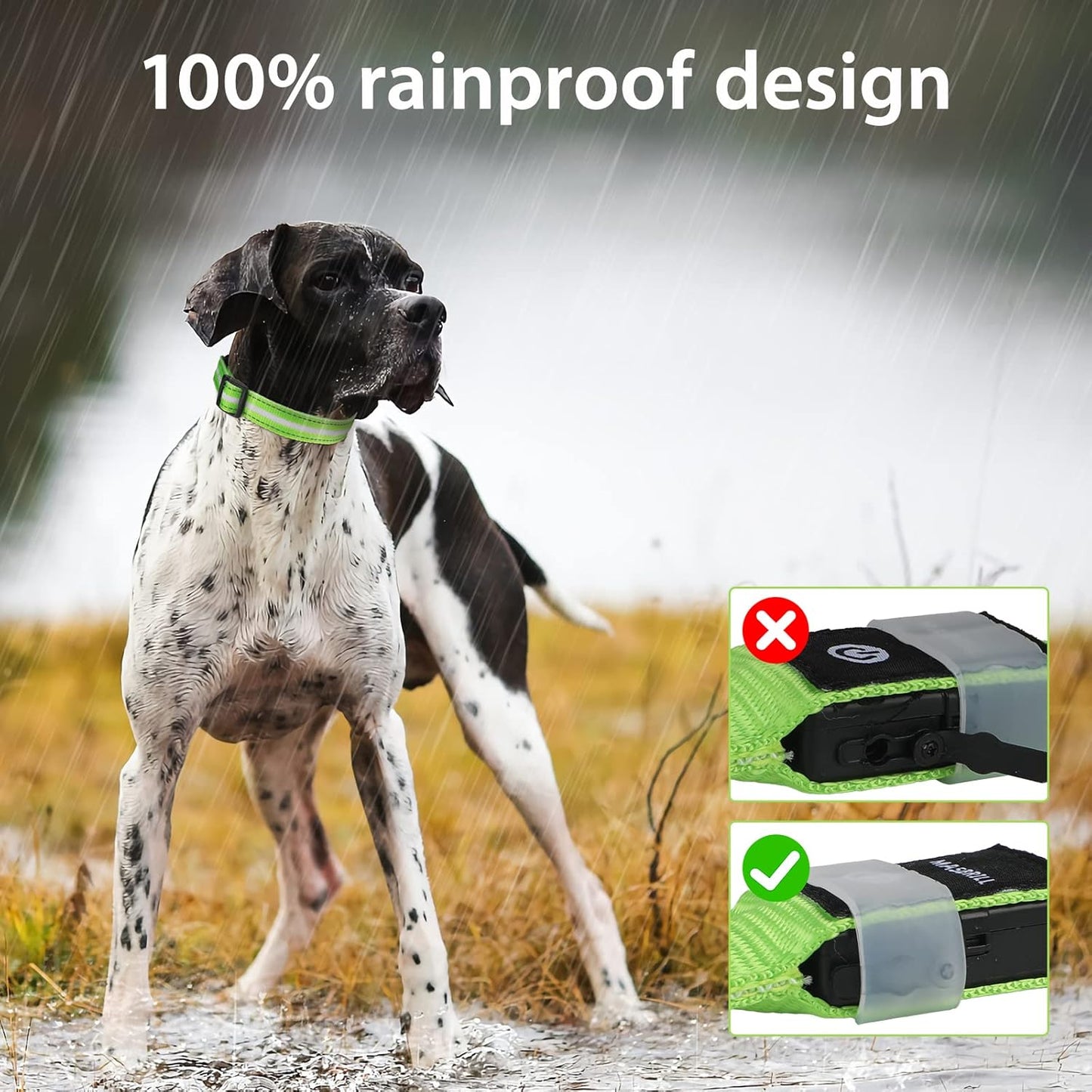 Led Dog Collar, Rechargeable Water-Resistant Night Safety Collar