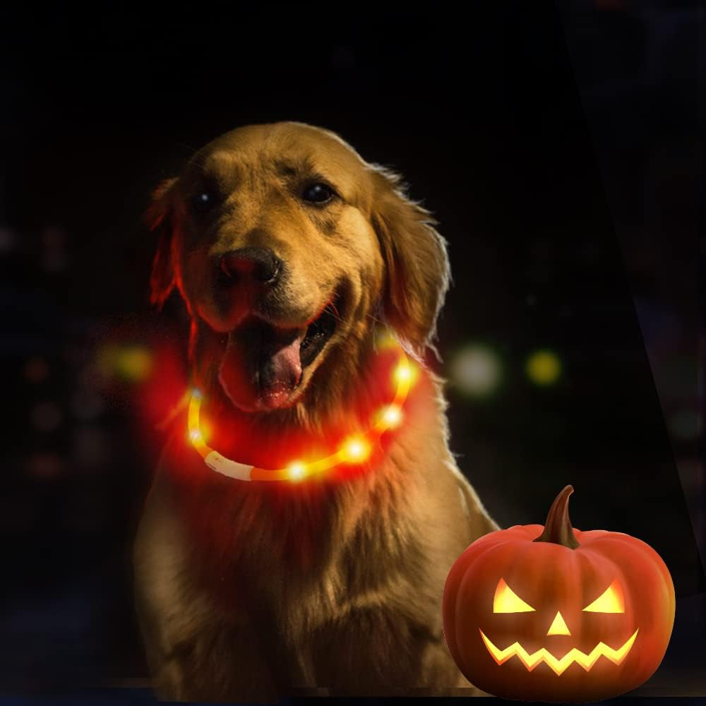 LED Light up Dog Collar, Cutable Silicon USB Rechargeable Glow Light Collar for All Dogs, Waterproof 3-Modes Flashing Dog Collar for Dark Outdoor Training Playing (27.5 Inch/70Cm)