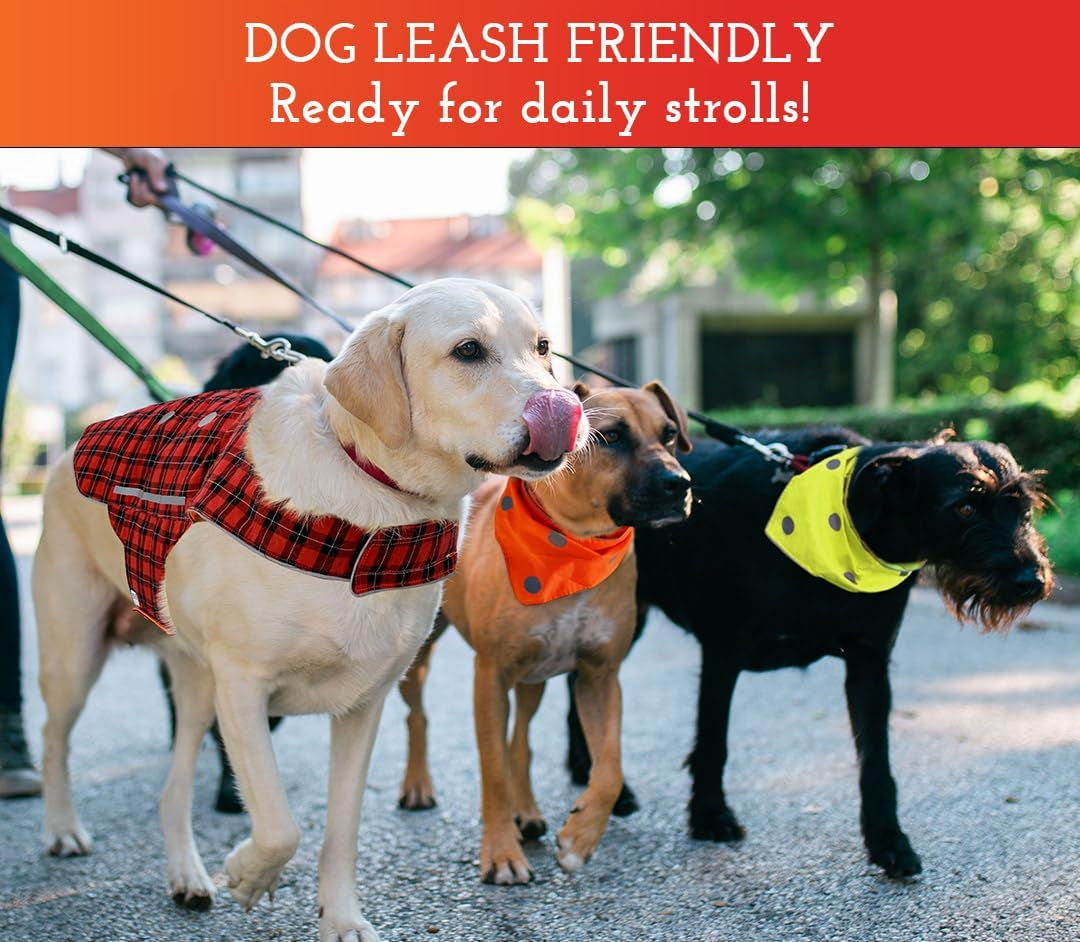 Reflective Dog Collar - Adjustable Pet Collars, Safe, Durable, Comfortable Dog Walking Accessories for Small Dog, Hunting Dog, Puppy, Boy, Girl Dog Collars (Blaze Orange, Red Plaid, S)