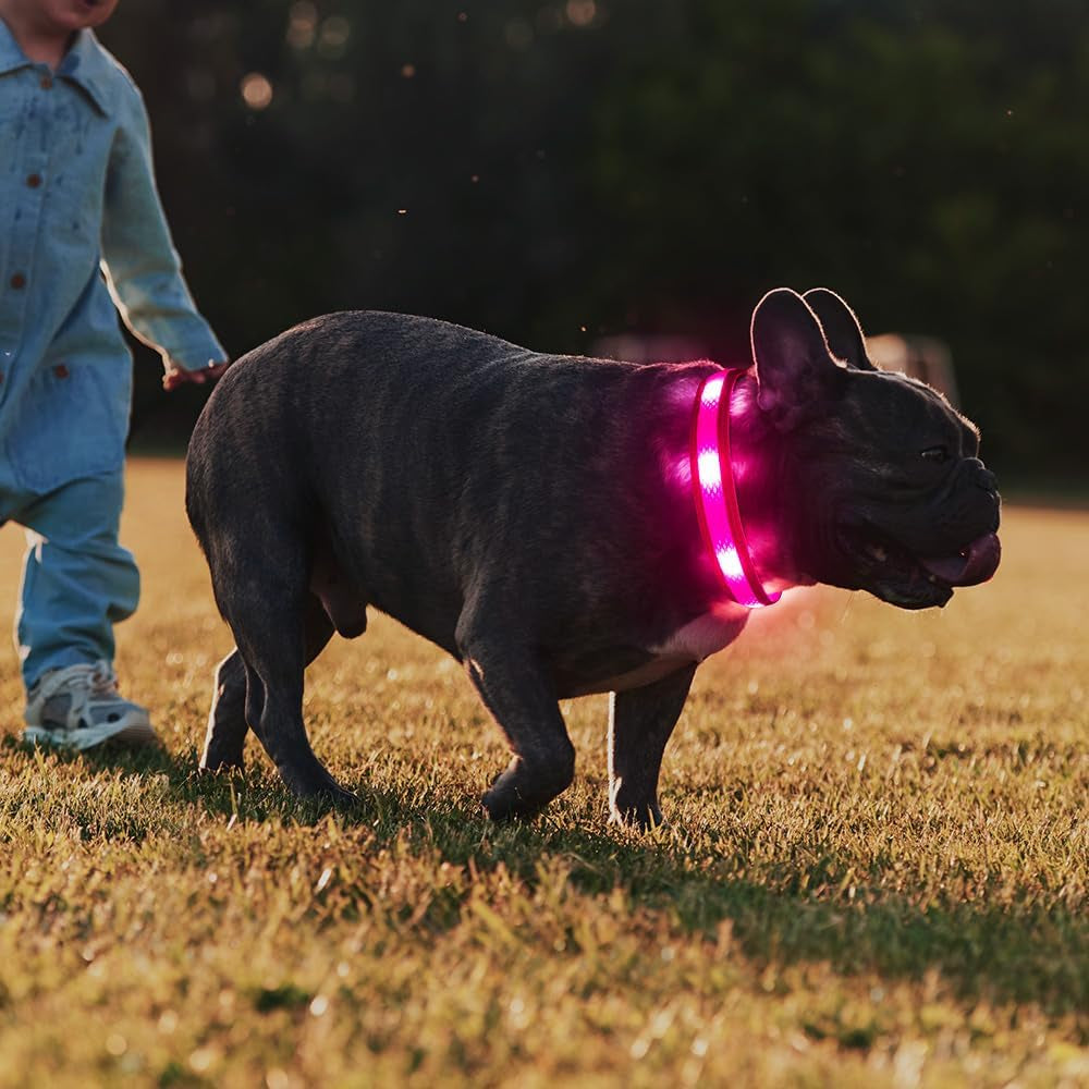 Light up Dog Collar - USB Rechargeable LED Dog Collar Glow in the Dark, High Visibility Glow Collar Light for Nighttime Walking (Medium, Light Pink)