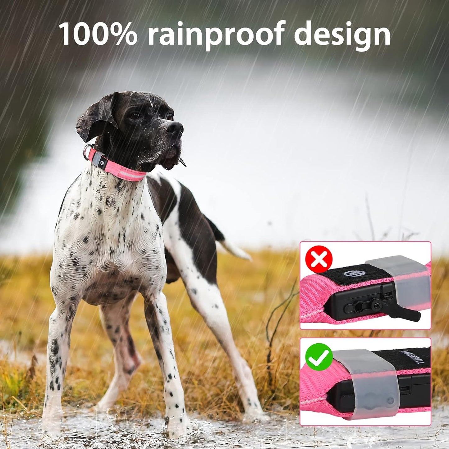 Led Dog Collar - Rechargeable, Water-Resistant, Flashing Glowing Night Safety Collar - Adjustable, Pink (M)