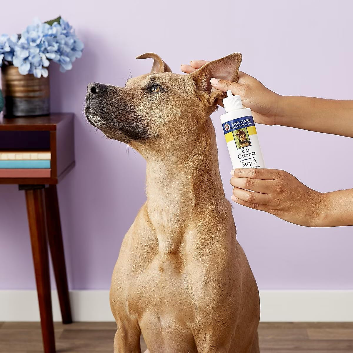 Ear Cleaner for Dogs and Cats, 16 Ounce, Reduces Ear Odor and Waxy Build Up, Gentle and Non Staining