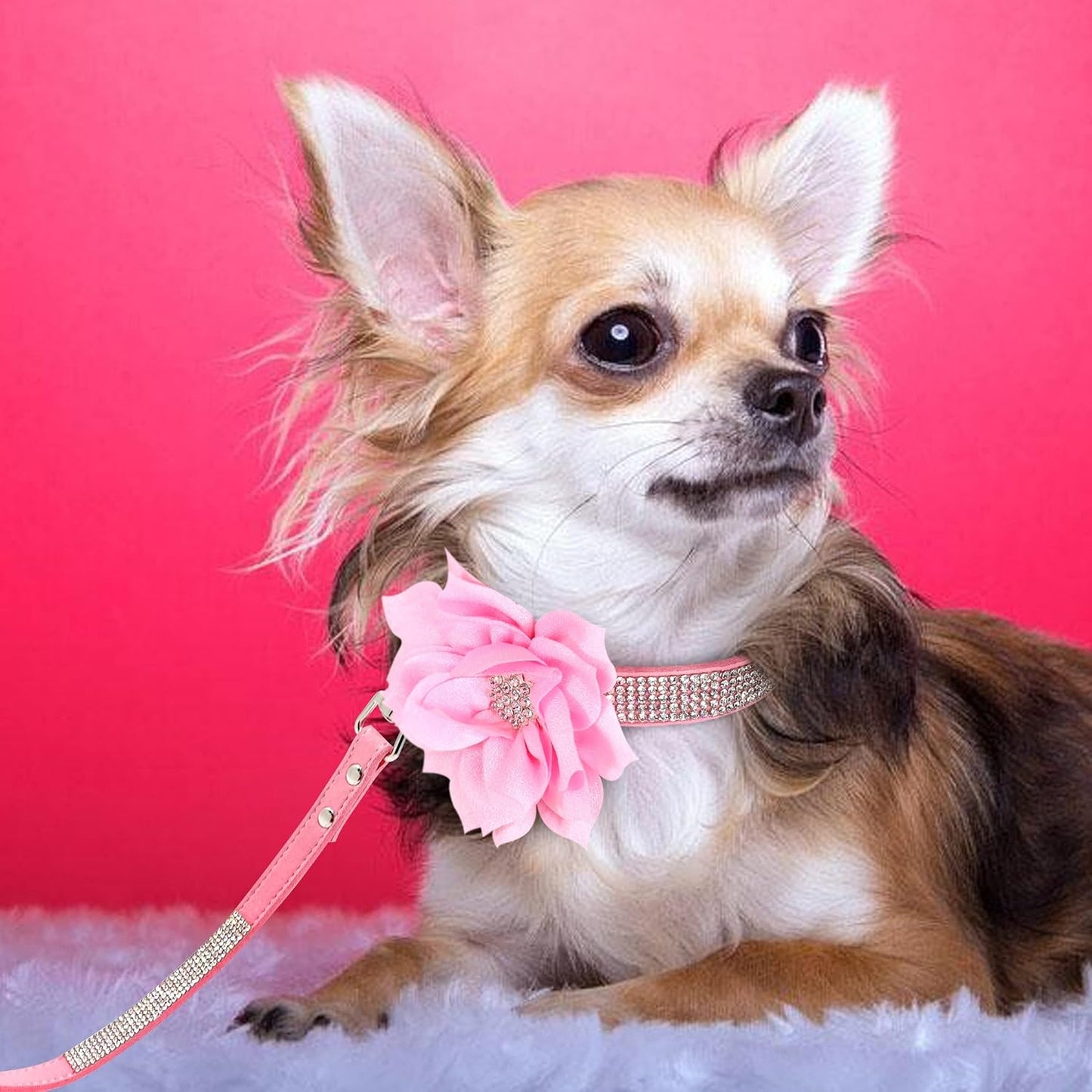 Rhinestone Dog Collar and Leash Set, Sparkling Girl Dog Collars with Bling Diamonds, Soft Suede Leather Pink Pet Collar with Cute Flower for Small Puppy Dogs Walking Party Wedding,S