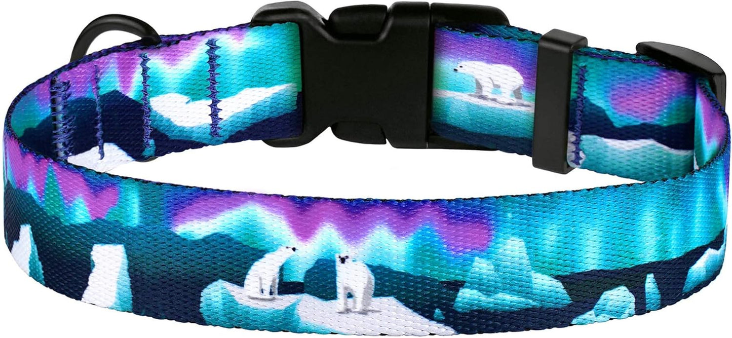 Print Dog Collar Nylon Pattern Adjustable Nature Pet Collars for Dogs Small Medium Large Puppy (Northern Lights, Neck Fit 10"-13")