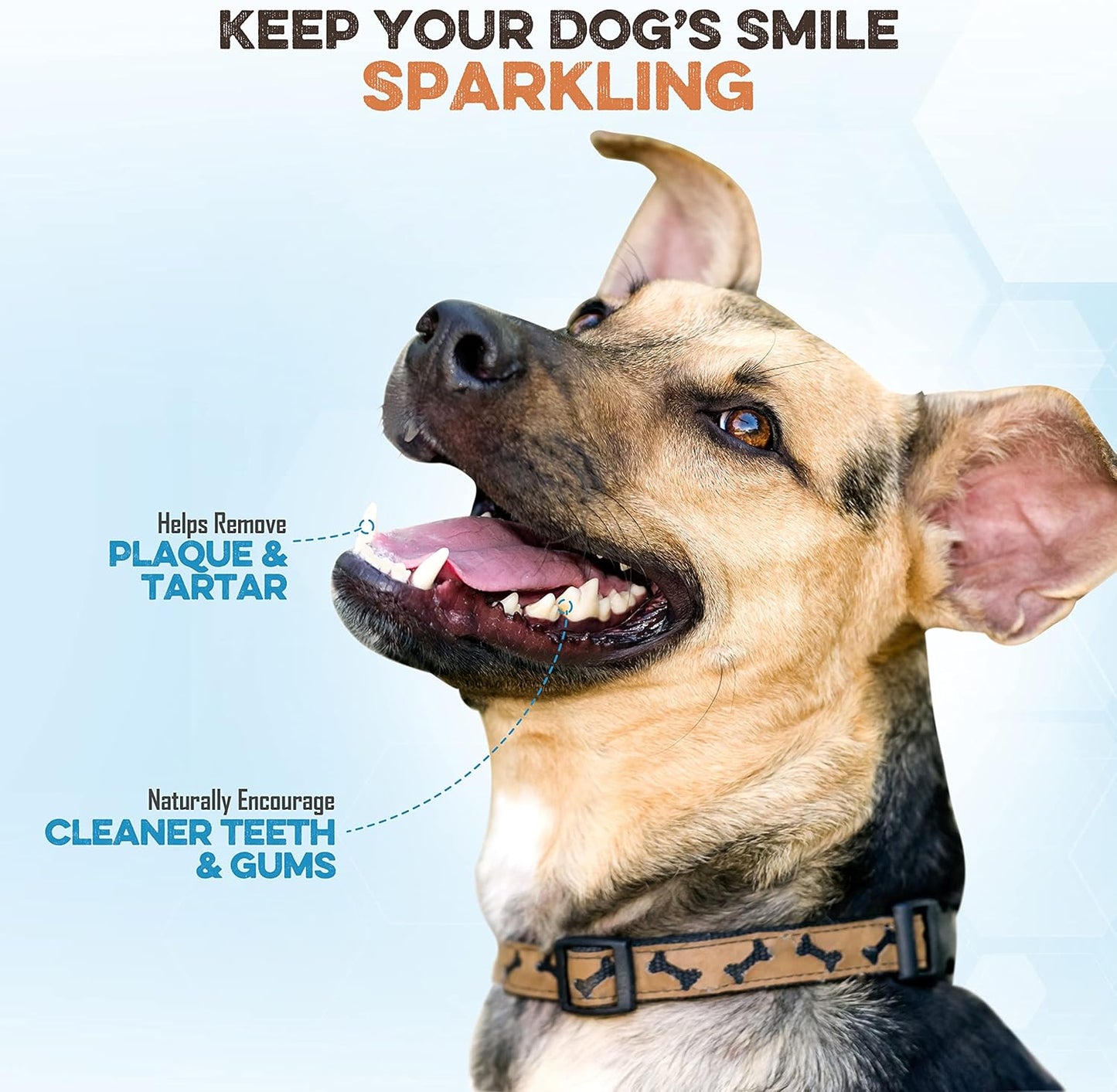 All Natural Single Ingredient Beef Esophagus Chews for Dogs - Healthy Flat Gullet Strips with Naturally Occurring Glucosamine & Chondroitin for Joint Function - Great for Any Dog Size