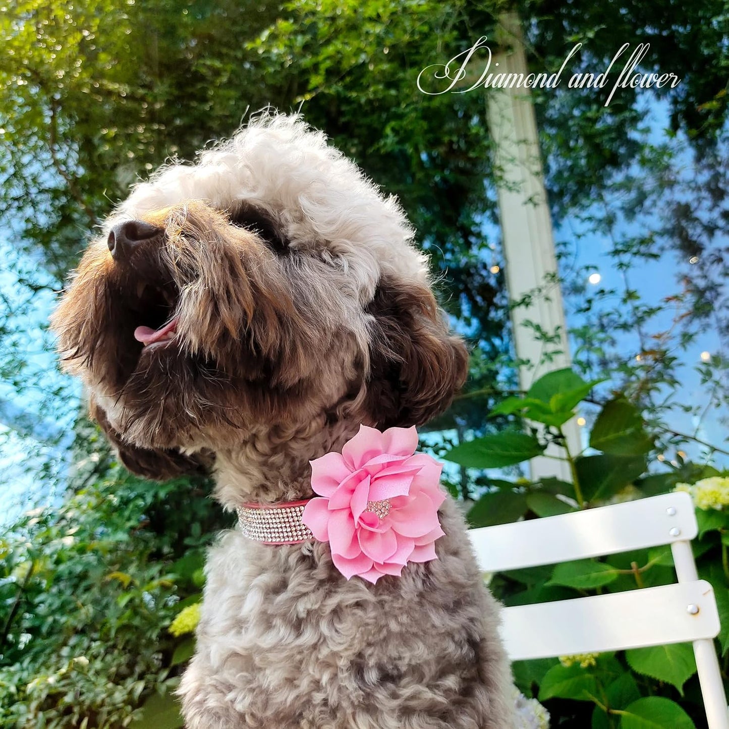 Rhinestone Dog Collar and Leash Set, Sparkling Girl Dog Collars with Bling Diamonds, Soft Suede Leather Pink Pet Collar with Cute Flower for Small Puppy Dogs Walking Party Wedding,S