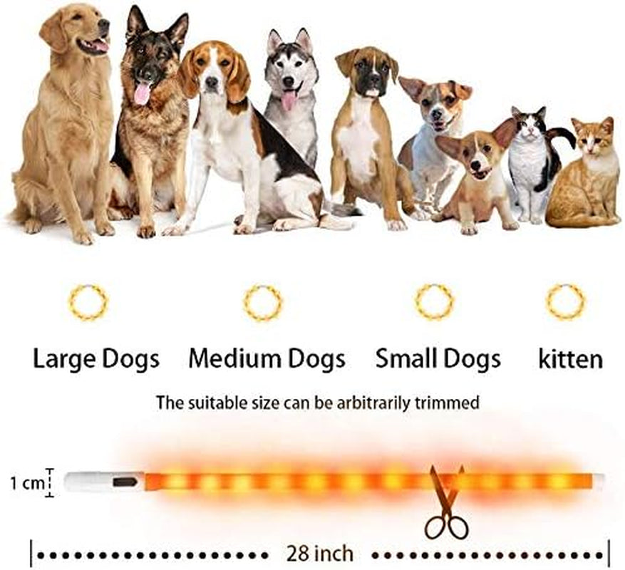 LED Light up Dog Collar, Cutable Silicon USB Rechargeable Glow Light Collar for All Dogs, Waterproof 3-Modes Flashing Dog Collar for Dark Outdoor Training Playing (27.5 Inch/70Cm)
