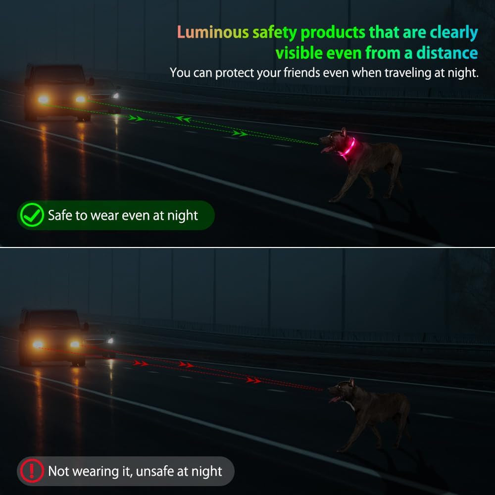 Light up Dog Collar - USB Rechargeable LED Dog Collar Glow in the Dark, High Visibility Glow Collar Light for Nighttime Walking (Medium, Light Pink)