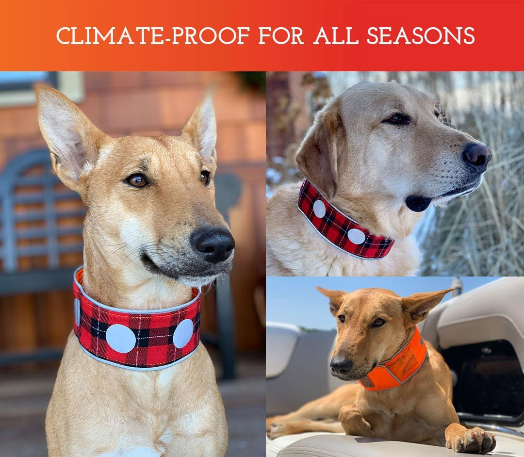 Reflective Dog Collar - Adjustable Pet Collars, Safe, Durable, Comfortable Dog Walking Accessories for Small Dog, Hunting Dog, Puppy, Boy, Girl Dog Collars (Blaze Orange, Red Plaid, S)