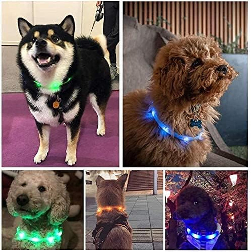LED Light up Dog Collar, Cutable Silicon USB Rechargeable Glow Light Collar for All Dogs, Waterproof 3-Modes Flashing Dog Collar for Dark Outdoor Training Playing (27.5 Inch/70Cm)