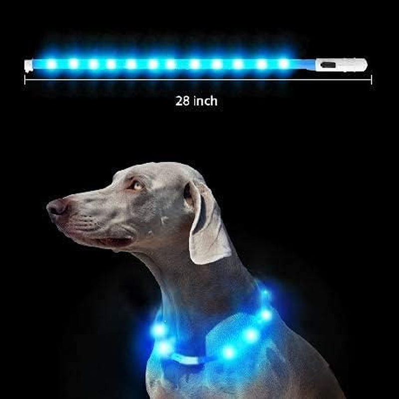 LED Light up Dog Collar, Cutable Silicon USB Rechargeable Glow Light Collar for All Dogs, Waterproof 3-Modes Flashing Dog Collar for Dark Outdoor Training Playing (27.5 Inch/70Cm)