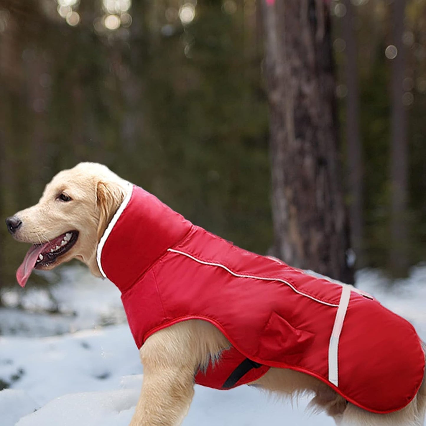 Warm Dog Clothes for Small Dogs, Adjustable Cold Weather Dog Coats, Safety Dog Jackets with Reflective Strips and Two-Way Zipper Red S