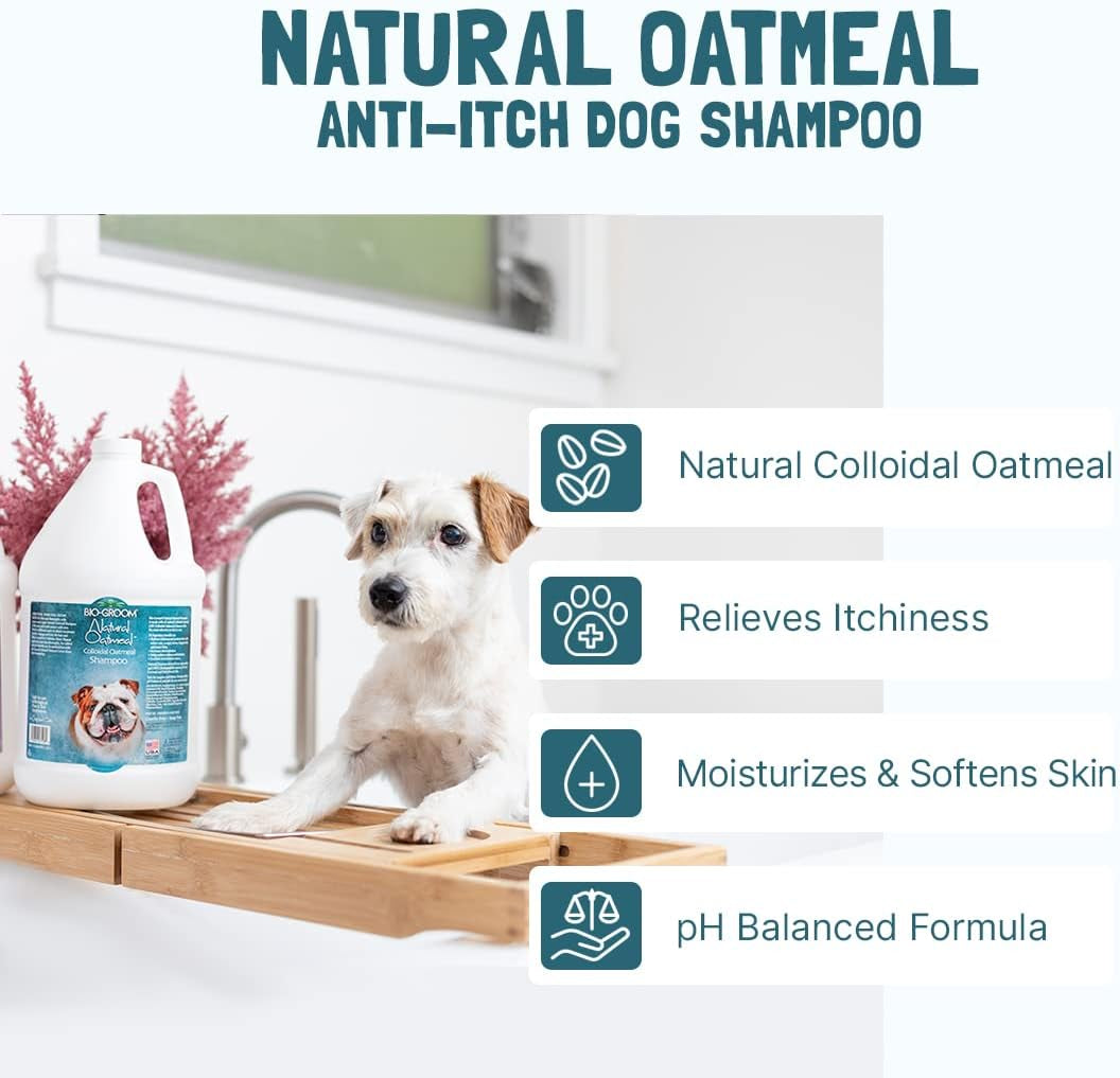 Oatmeal Dog Shampoo-For Allergies and Itching, Cruelty-Free, Dog Bathing Supplies, Puppy Shampoo for Sensitive Skin, Made in USA, Anti-Itch Dog Products-2.5 Gallons