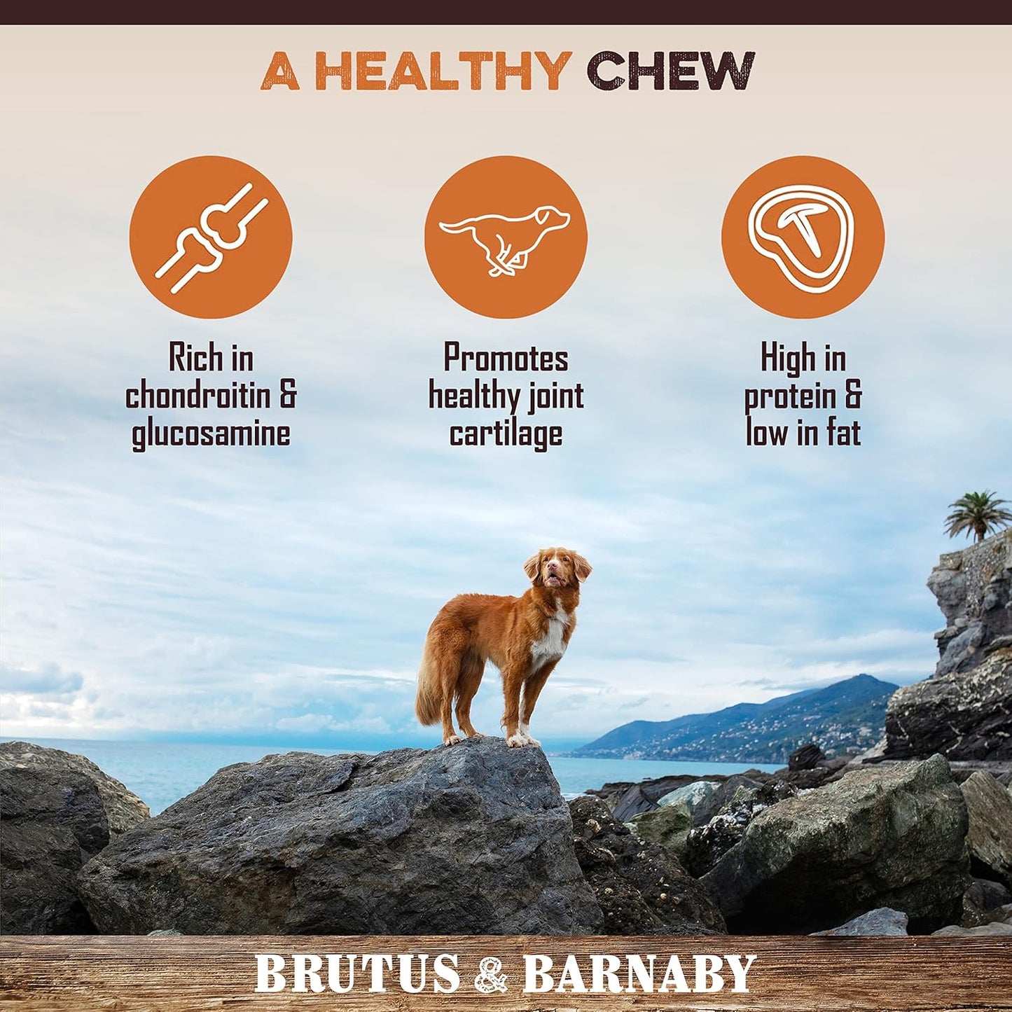 All Natural Single Ingredient Beef Esophagus Chews for Dogs - Healthy Flat Gullet Strips with Naturally Occurring Glucosamine & Chondroitin for Joint Function - Great for Any Dog Size