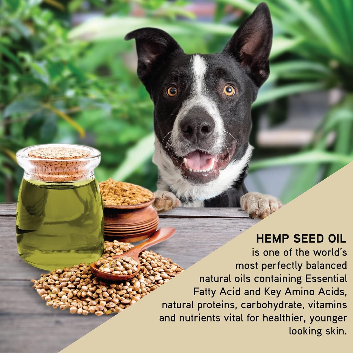 Hemp & Oatmeal Pet Shampoo for Dogs | All Natural Pure Essential Oils | Balance of Omega 6 & Omega 3 Fatty Acids | for Deodorizing, Allergies, Itching, Dry and Sensitive Skin - 34 OZ Pump Bottle