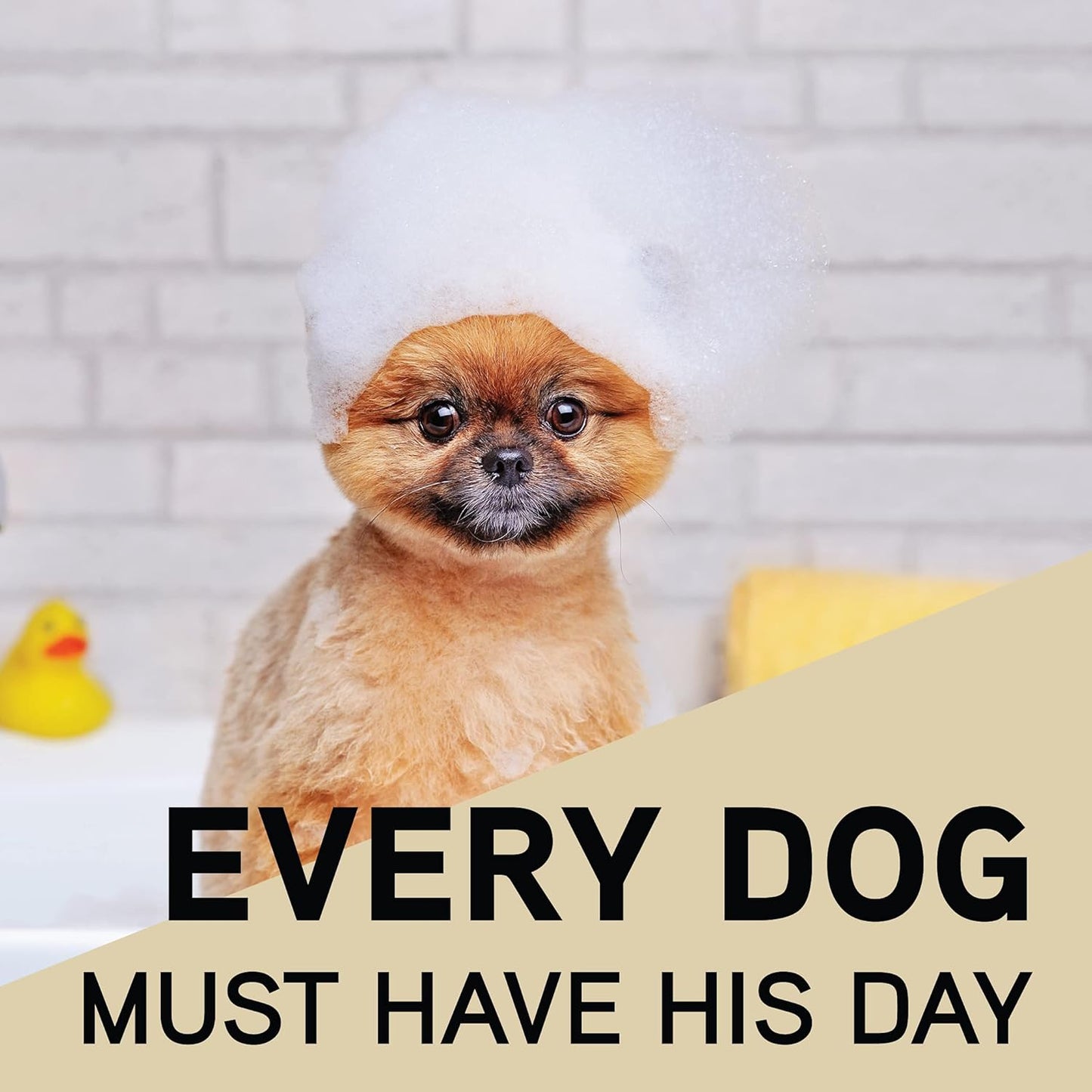 Hemp & Oatmeal Pet Shampoo for Dogs | All Natural Pure Essential Oils | Balance of Omega 6 & Omega 3 Fatty Acids | for Deodorizing, Allergies, Itching, Dry and Sensitive Skin - 34 OZ Pump Bottle