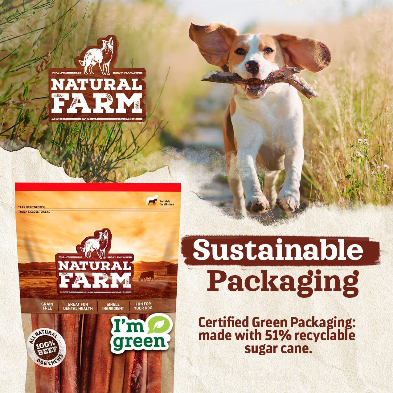 Collagen Dog Chews (12 Inch, 5 Pack), Odor-Free Long Lasting Bully Sticks & Rawhide Alternative Dog Treats, 95% Collagen Low Fat, High Protein β Medium & Large Dogs