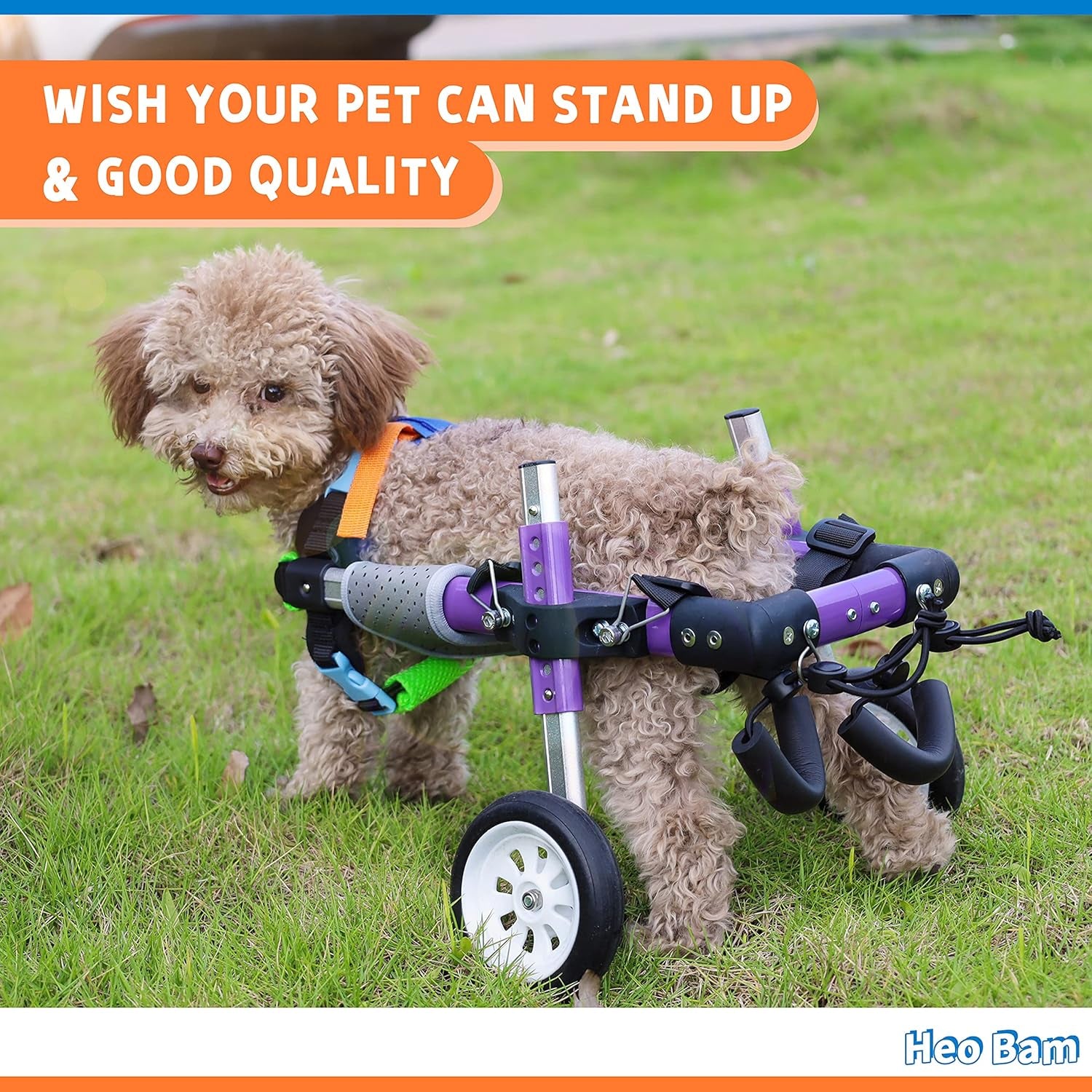 Dog Wheelchair - for Small Dog-Adjustable Dog Wheelchair for Hind Legs Rehabilitation ，Convenient Dog Wheelchair (XS(B))