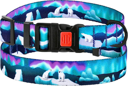 Print Dog Collar Nylon Pattern Adjustable Nature Pet Collars for Dogs Small Medium Large Puppy (Northern Lights, Neck Fit 10"-13")