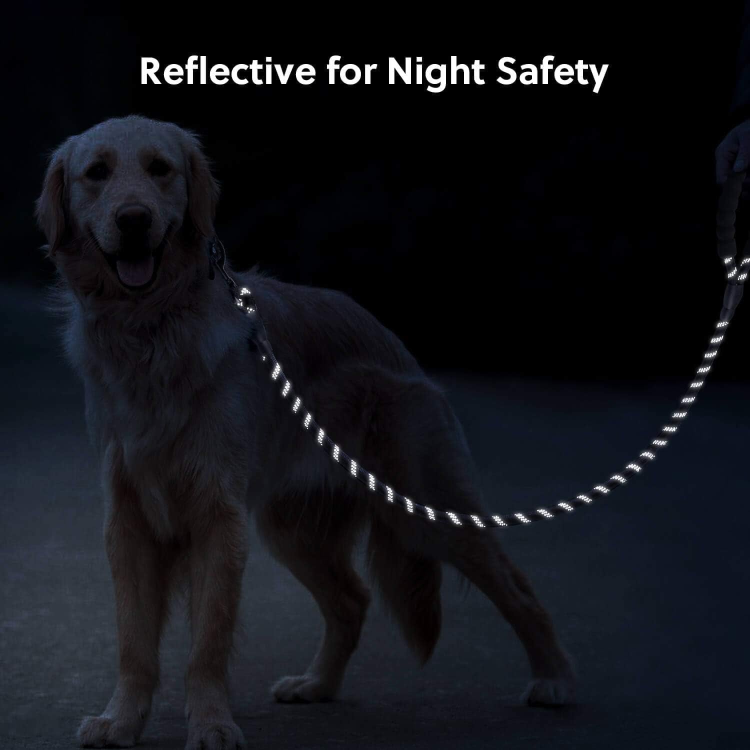 5 FT Strong Dog Leash with Comfortable Foam Handle and Highly Reflective Threads with Metal Clasp and Rubber Enhanced Joint Dog Leashes for Medium and Large Dogs Black
