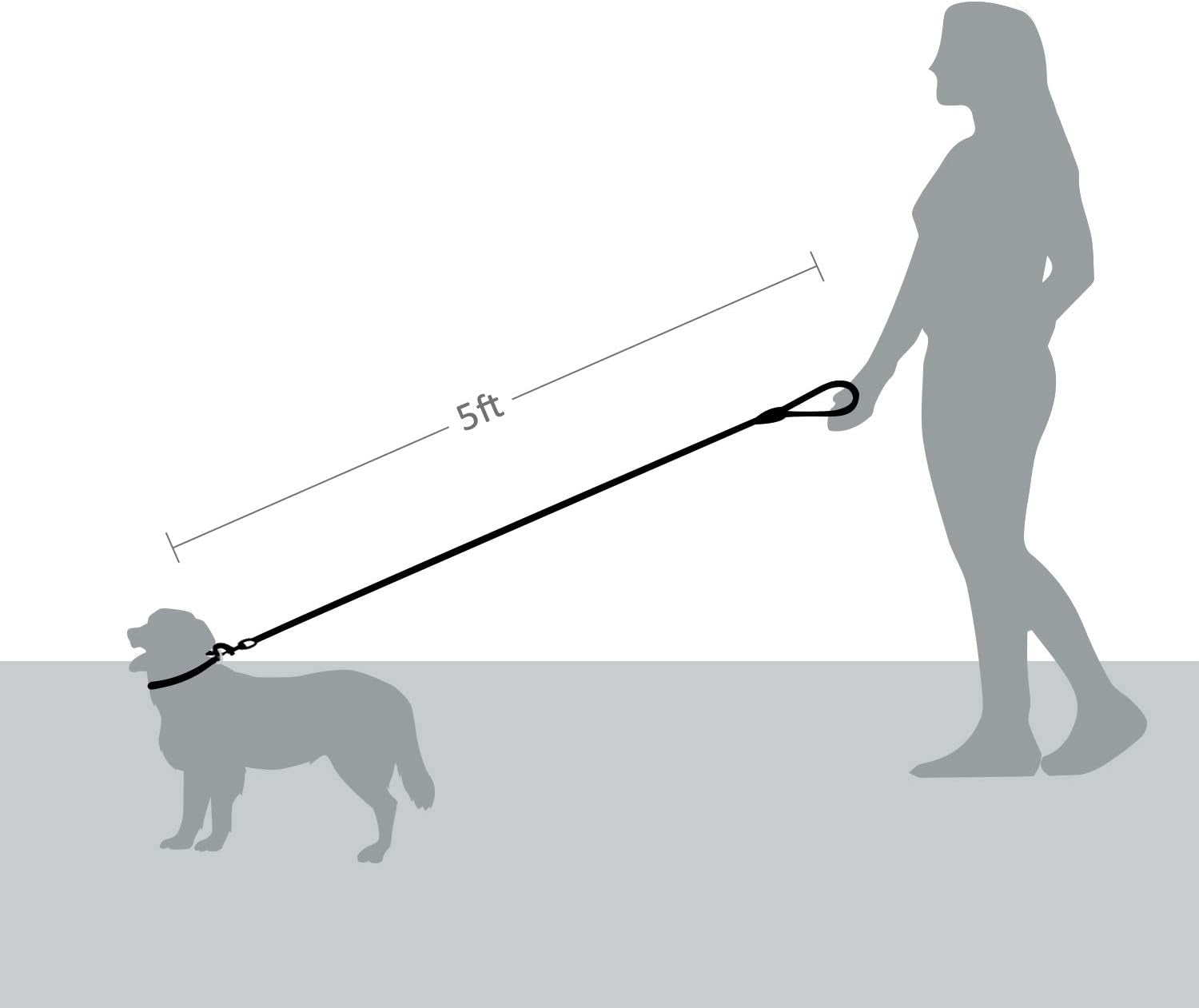 5 FT Strong Dog Leash with Comfortable Foam Handle and Highly Reflective Threads with Metal Clasp and Rubber Enhanced Joint Dog Leashes for Medium and Large Dogs Black