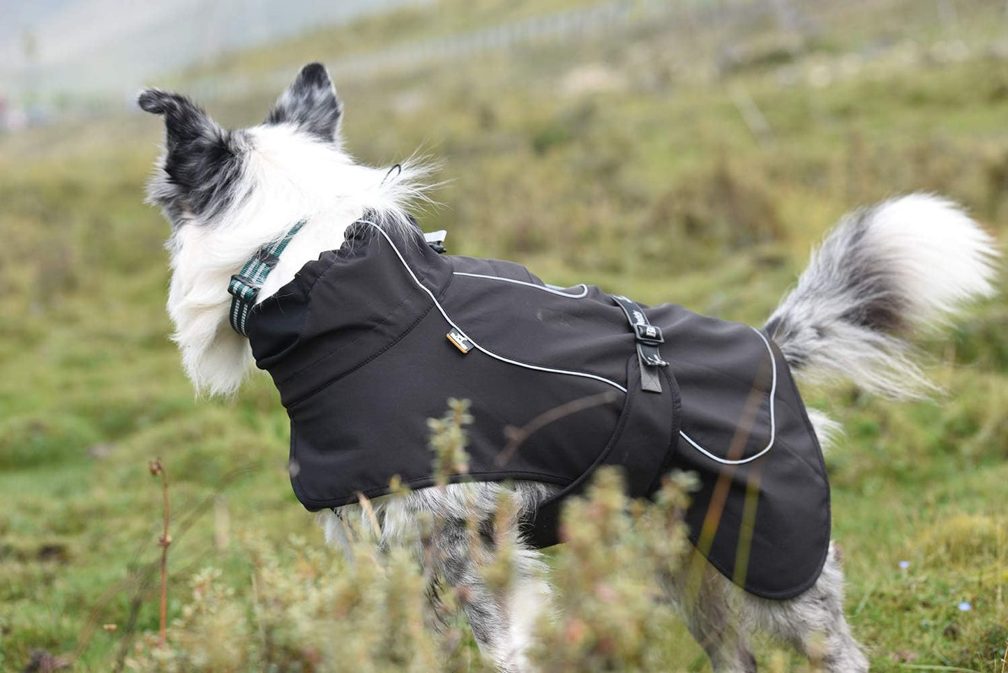 Dog Coat Jacket Dog Clothes for Small Dogs, Black
