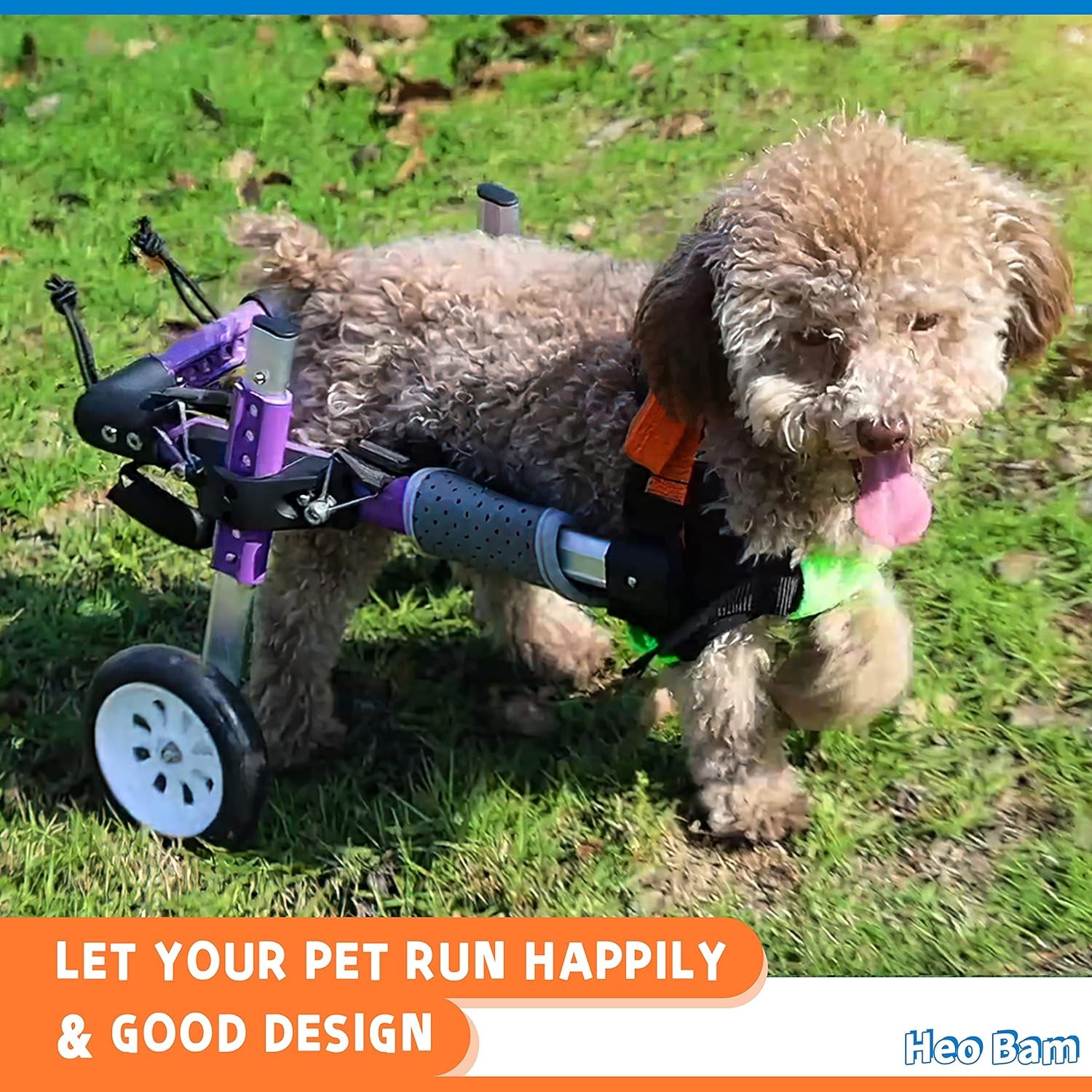 Dog Wheelchair - for Small Dog-Adjustable Dog Wheelchair for Hind Legs Rehabilitation ，Convenient Dog Wheelchair (XS(B))