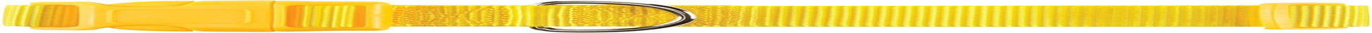 ⅝" Wide Nylon Dog Collar, Fits Necks 10" to 16", Yellow