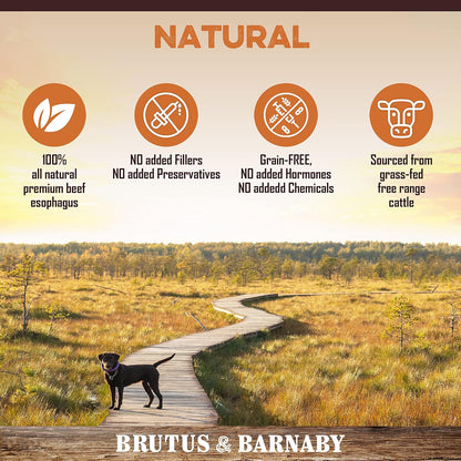 All Natural Single Ingredient Beef Esophagus Chews for Dogs - Healthy Flat Gullet Strips with Naturally Occurring Glucosamine & Chondroitin for Joint Function - Great for Any Dog Size