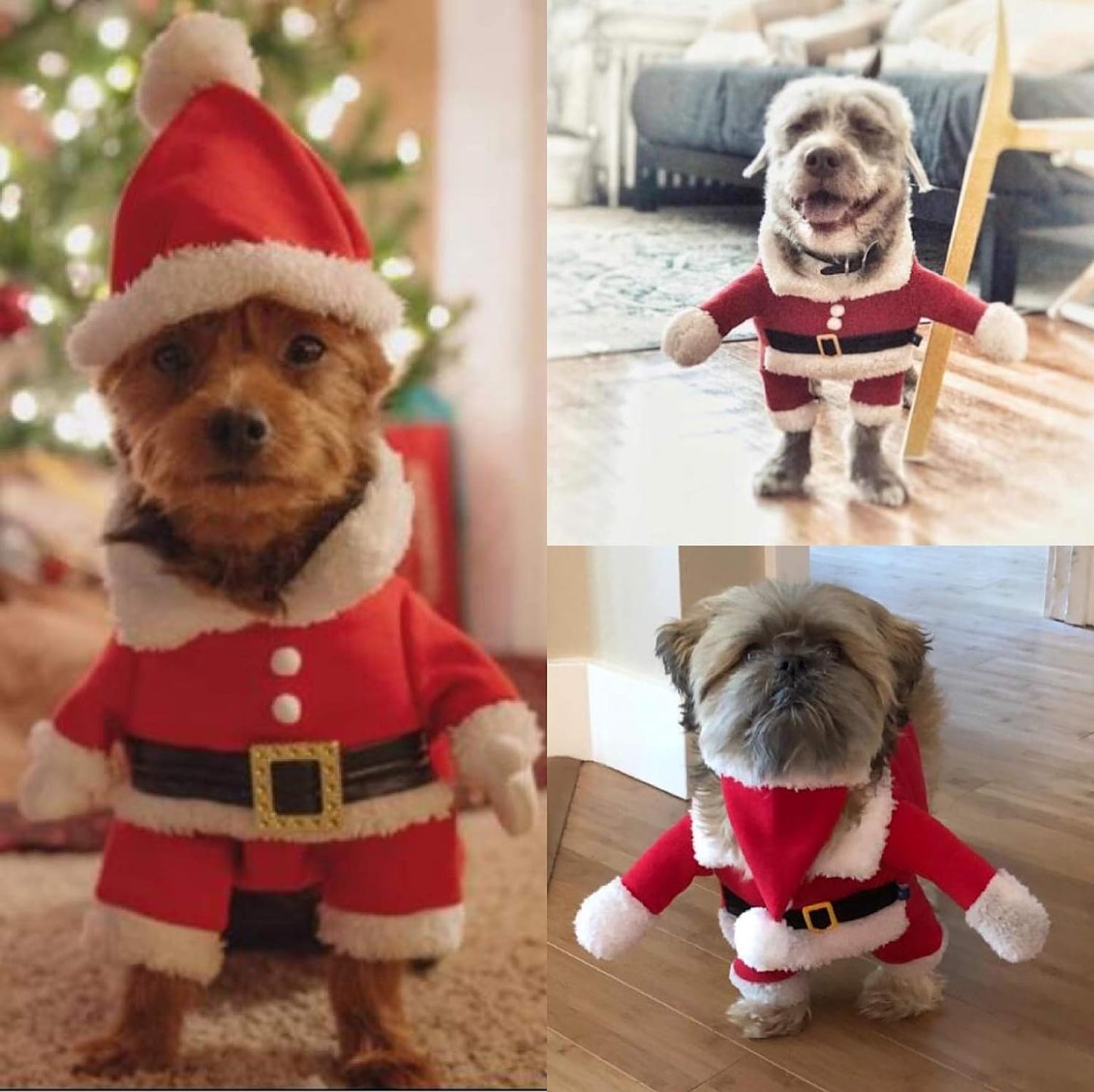 Dog Christmas Costumes with Hat Dog Santa Costume Dog Xmas Costume for Small Dog Cat Puppy (Red, Medium)