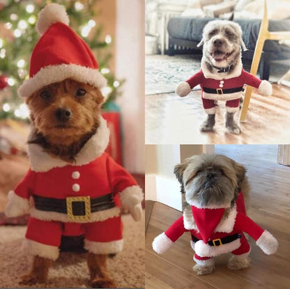 Dog Christmas Costumes with Hat Dog Santa Costume Dog Xmas Costume for Small Dog Cat Puppy (Red, Medium)