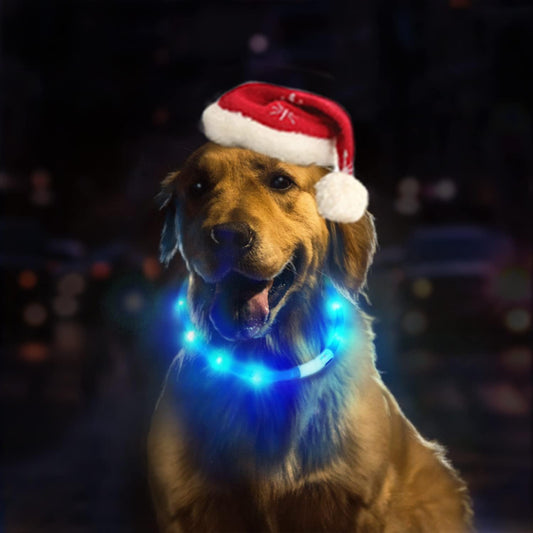 LED Light up Dog Collar, Cutable Silicon USB Rechargeable Glow Light Collar for All Dogs, Waterproof 3-Modes Flashing Dog Collar for Dark Outdoor Training Playing (27.5 Inch/70Cm)