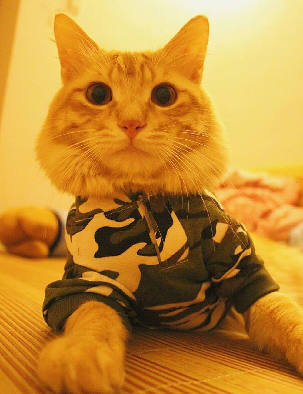 Dog Camo Hoodie Clothes for Dogs Boy Shirts Pet T Shirt for Small Dogs, Small, Green