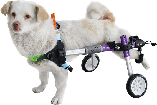 Dog Wheelchair - for Small Dog-Adjustable Dog Wheelchair for Hind Legs Rehabilitation ，Convenient Dog Wheelchair (XS(B))