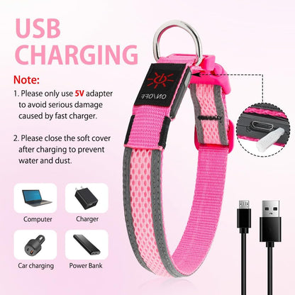 Light up Dog Collar - USB Rechargeable LED Dog Collar Glow in the Dark, High Visibility Glow Collar Light for Nighttime Walking (Medium, Light Pink)
