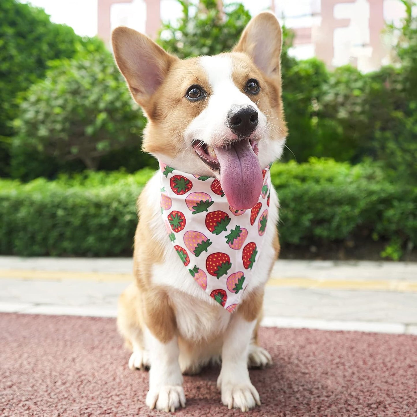 6 Pieces Dog Bandana, Fruit Scarf for Dogs, Cats,Pets Accessories (Fruits-6, Small)