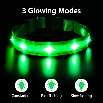 Led Dog Collar, Rechargeable Water-Resistant Night Safety Collar