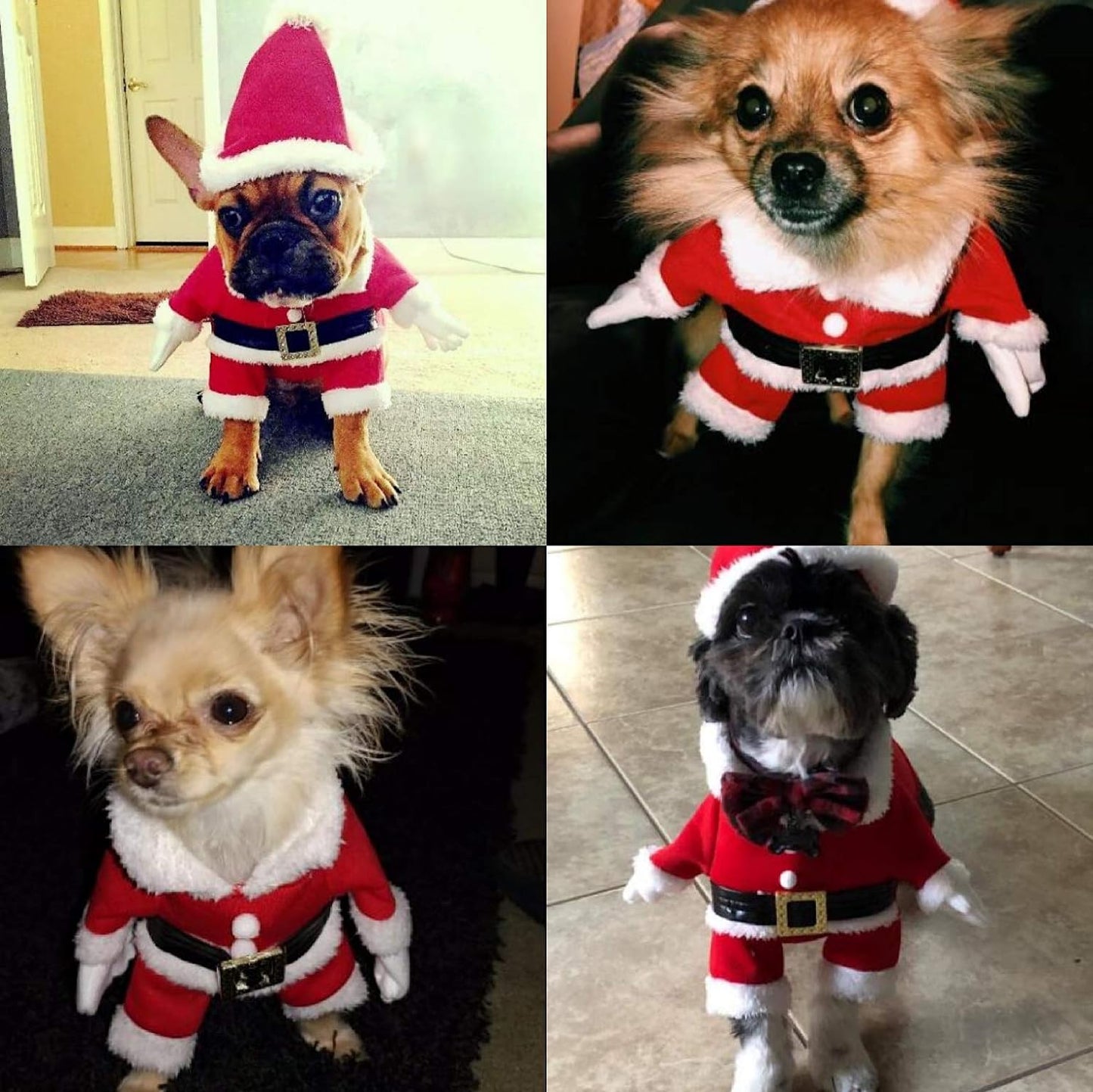 Dog Christmas Costumes with Hat Dog Santa Costume Dog Xmas Costume for Small Dog Cat Puppy (Red, Medium)