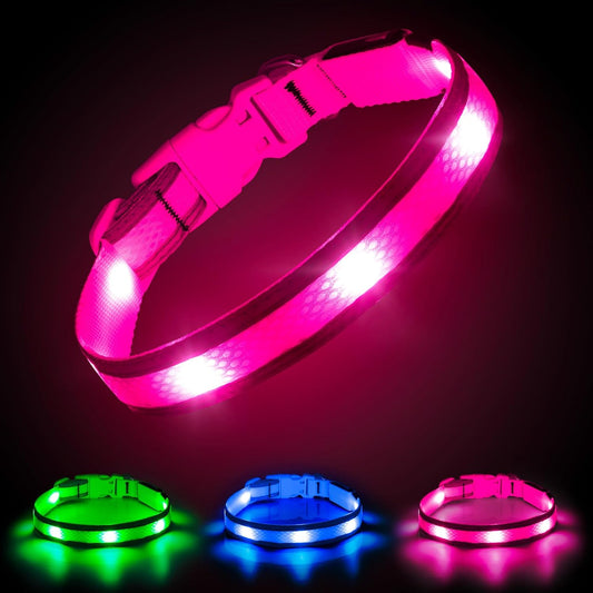 Light up Dog Collar - USB Rechargeable LED Dog Collar Glow in the Dark, High Visibility Glow Collar Light for Nighttime Walking (Medium, Light Pink)