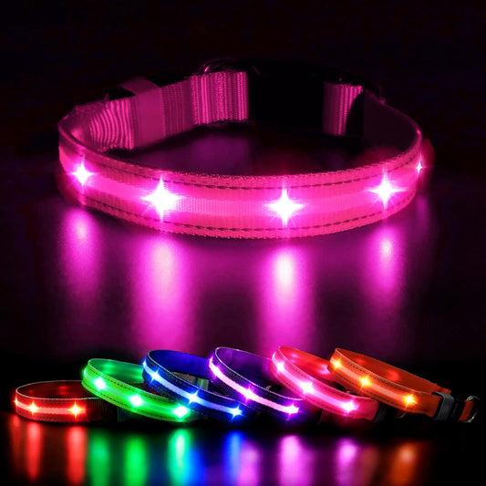 Led Dog Collar - Rechargeable, Water-Resistant, Flashing Glowing Night Safety Collar - Adjustable, Pink (M)