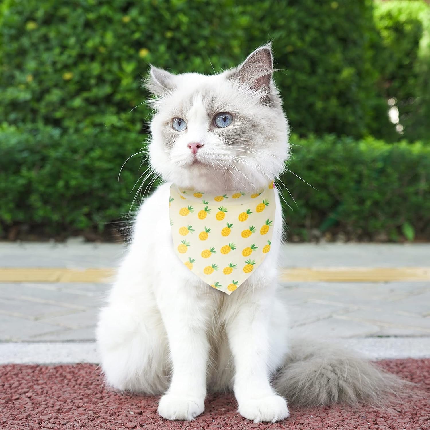 6 Pieces Dog Bandana, Fruit Scarf for Dogs, Cats,Pets Accessories (Fruits-6, Small)
